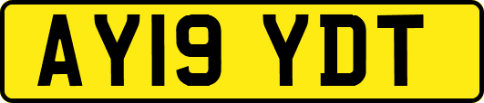 AY19YDT