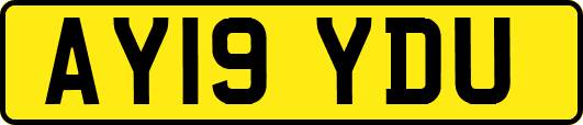 AY19YDU