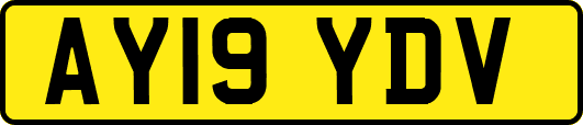 AY19YDV