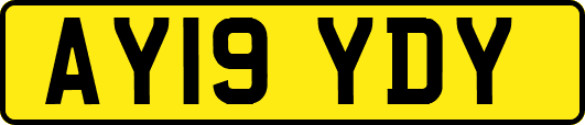 AY19YDY