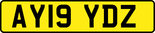 AY19YDZ