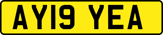 AY19YEA