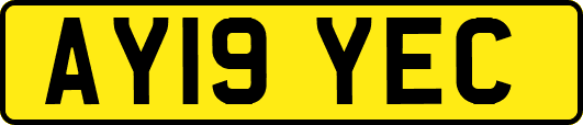 AY19YEC