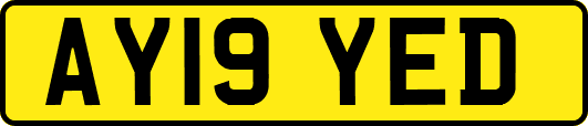 AY19YED
