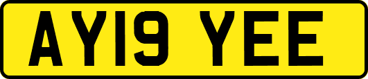AY19YEE