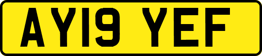 AY19YEF
