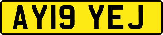 AY19YEJ