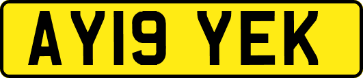 AY19YEK