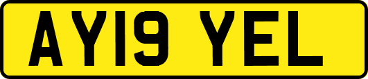AY19YEL
