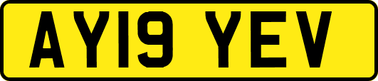 AY19YEV