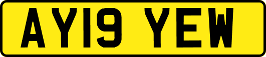 AY19YEW