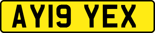 AY19YEX