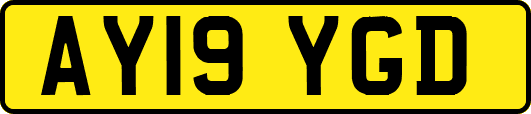 AY19YGD