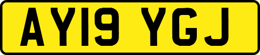 AY19YGJ