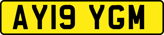 AY19YGM