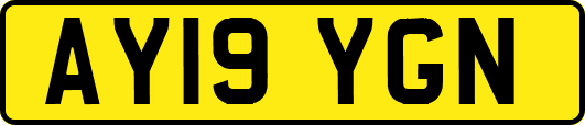 AY19YGN