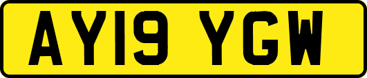 AY19YGW