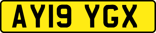 AY19YGX