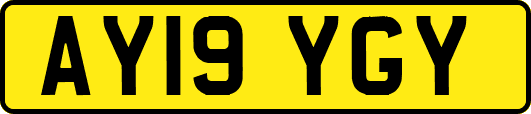 AY19YGY