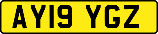 AY19YGZ
