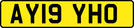 AY19YHO