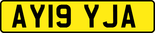 AY19YJA