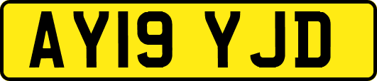 AY19YJD