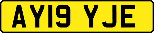 AY19YJE