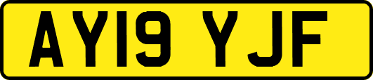 AY19YJF