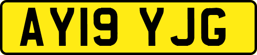 AY19YJG