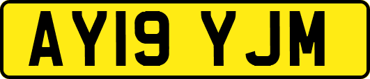 AY19YJM