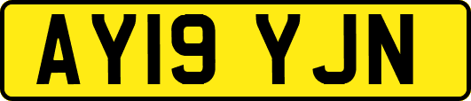 AY19YJN