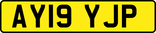 AY19YJP