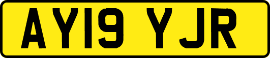 AY19YJR