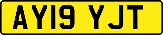 AY19YJT