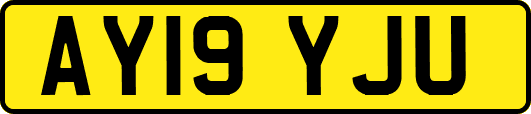 AY19YJU
