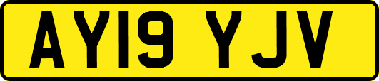 AY19YJV