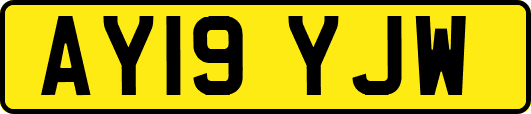 AY19YJW