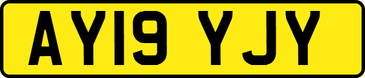 AY19YJY