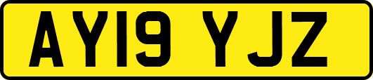 AY19YJZ