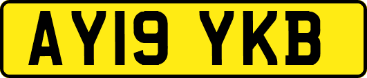 AY19YKB