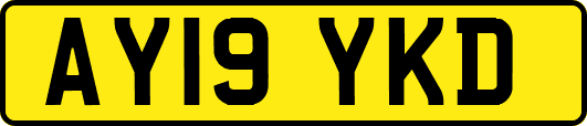 AY19YKD