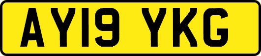 AY19YKG