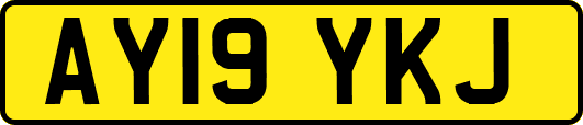 AY19YKJ
