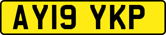 AY19YKP