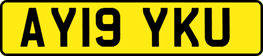AY19YKU