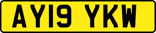 AY19YKW