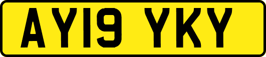 AY19YKY