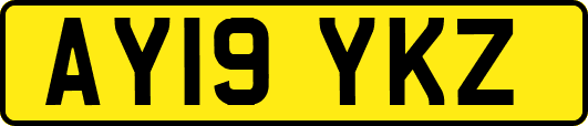 AY19YKZ