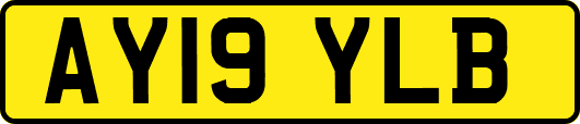 AY19YLB